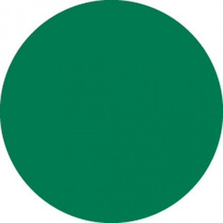 BRADY gws30663 Бумажные этикетки в рулонах (кружки зеленого цвета), диаметр 38 мм, 500 шт/рул