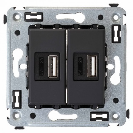DKC / ДКС 4412543 USB зарядное устройство в стену, черный матовый, Avanti