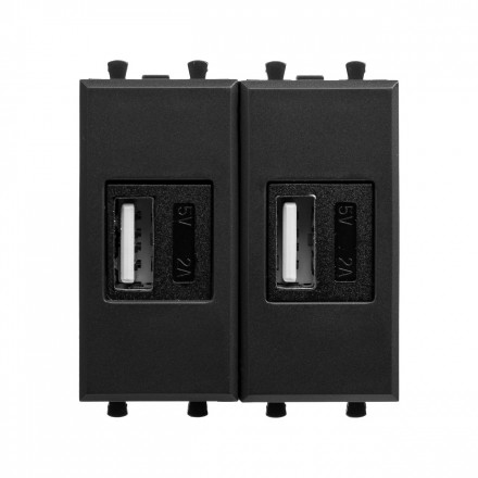 DKC / ДКС 4412542 (Заказная) USB зарядное устройство модульное, черный матовый, 2 модуля, Avanti